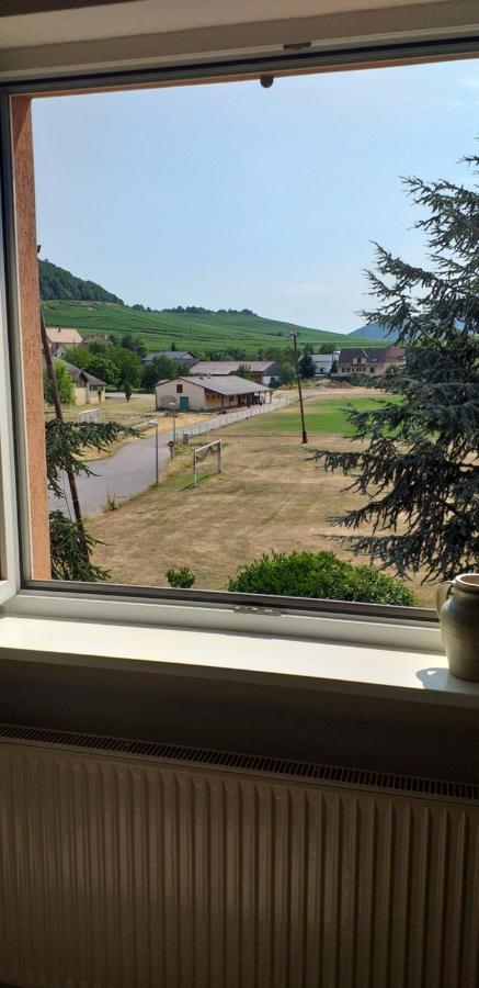 Gite Dans Vignoble Alsacien Westhalten Kültér fotó