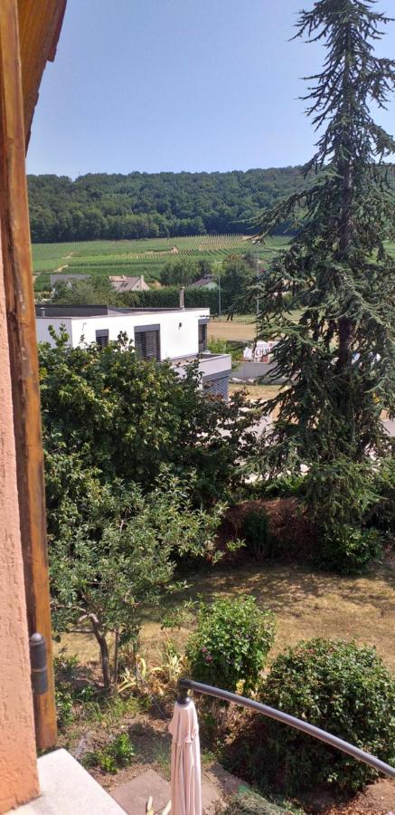Gite Dans Vignoble Alsacien Westhalten Kültér fotó