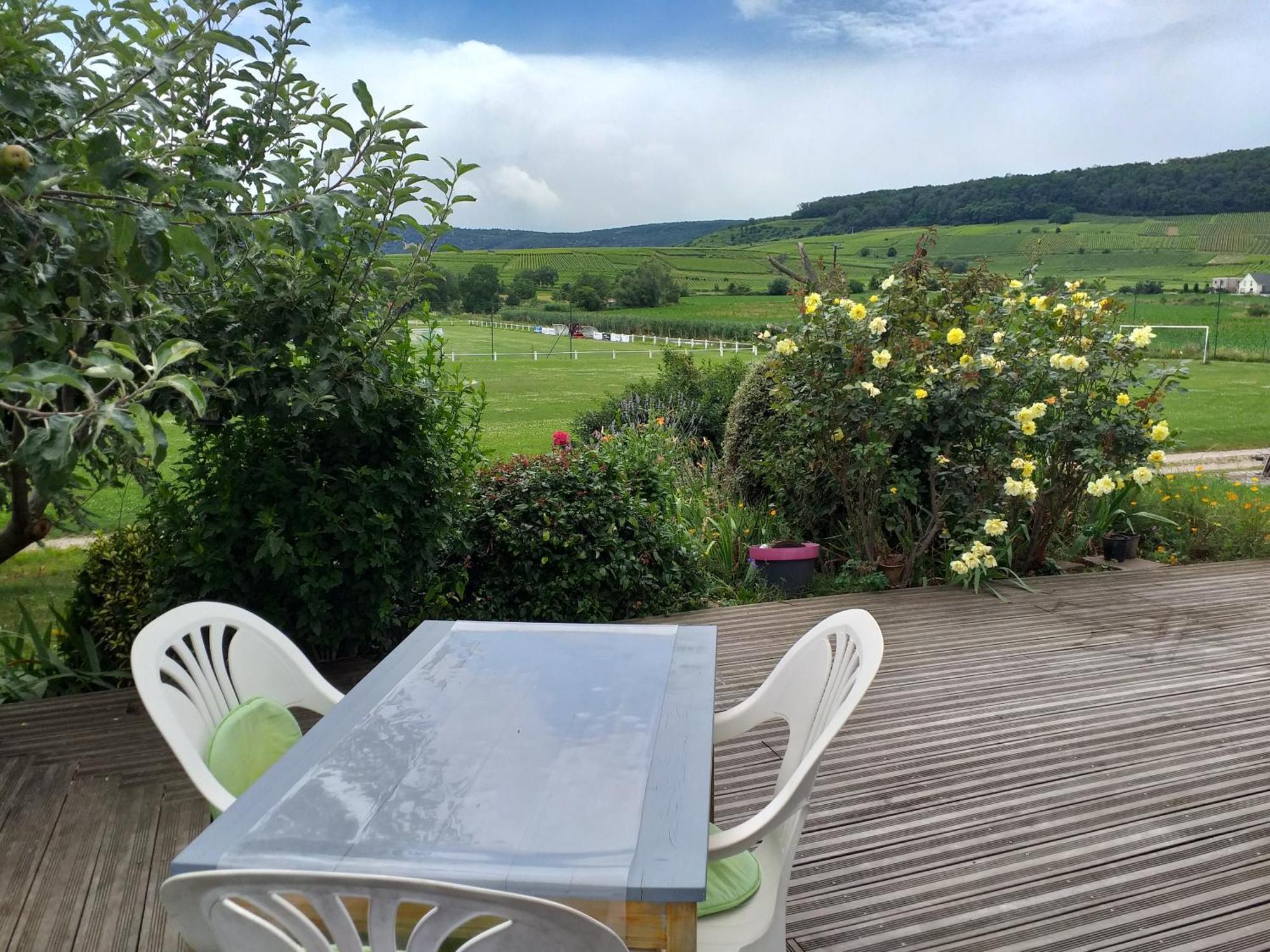 Gite Dans Vignoble Alsacien Westhalten Kültér fotó